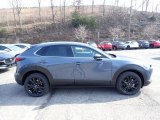 2021 Polymetal Gray Metallic Mazda CX-30 Turbo Premium Plus AWD #141306437