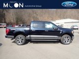 2021 Antimatter Blue Ford F150 XLT SuperCrew 4x4 #141306448