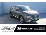 2021 Hampton Gray Hyundai Santa Fe SEL #141319155