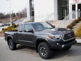 2019 Magnetic Gray Metallic Toyota Tacoma TRD Off-Road Access Cab 4x4 #141319131