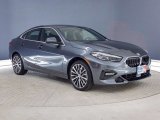 2021 Mineral Gray Metallic BMW 2 Series 228i sDrive Grand Coupe #141347714