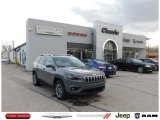 2021 Sting-Gray Jeep Cherokee Latitude Lux 4x4 #141347732