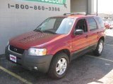 2004 Redfire Metallic Ford Escape XLT V6 4WD #14104222