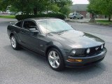 2007 Alloy Metallic Ford Mustang GT Premium Coupe #14123356