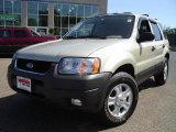 2004 Ford Escape XLT V6 4WD