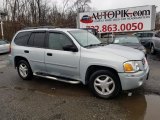 Liquid Silver Metallic GMC Envoy in 2007