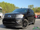 Agate Black Ford Expedition in 2020