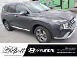 2021 Portofino Gray Hyundai Santa Fe SEL #141450996
