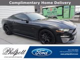 2019 Shadow Black Ford Mustang EcoBoost Fastback #141475839