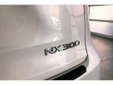 2019 Lexus NX 300 Marks and Logos