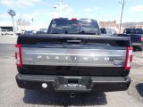 2021 Ford F150 Platinum SuperCrew 4x4 Marks and Logos