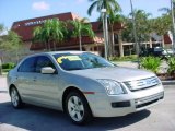 2007 Silver Birch Metallic Ford Fusion SE #1412400