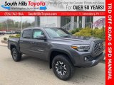 2021 Magnetic Gray Metallic Toyota Tacoma TRD Off Road Double Cab 4x4 #141653706