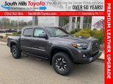 2021 Magnetic Gray Metallic Toyota Tacoma TRD Off Road Double Cab 4x4 #141653707