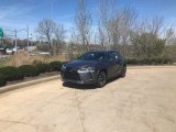 2021 Nebula Gray Pearl Lexus UX 250h AWD #141661968