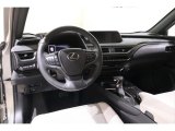2019 Lexus UX 250h AWD Birch Interior