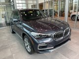 2021 Arctic Gray Metallic BMW X5 xDrive40i #141819753