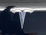 2020 Tesla Model 3 Standard Range Marks and Logos