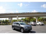 2018 Platinum Gray Metallic Volkswagen Tiguan SE #141863741