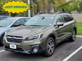 2019 Wilderness Green Metallic Subaru Outback 2.5i Limited #141879904