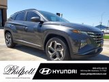2022 Portofino Gray Hyundai Tucson SEL #141888433