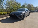 2021 Nebula Gray Pearl Lexus ES 350 F Sport #141967254