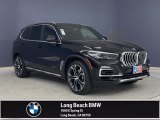 2021 Jet Black BMW X5 sDrive40i #141991335