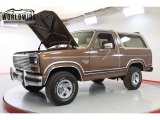 1984 Ford Bronco XLT 4x4 Data, Info and Specs