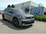 2021 Volkswagen Tiguan Platinum Gray Metallic