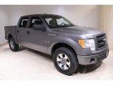 Sterling Grey Ford F150 in 2014