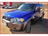 2006 Sonic Blue Metallic Ford Escape XLT V6 #1404106