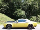 2021 Gold Rush Dodge Challenger R/T Scat Pack Widebody #142232086