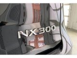 2019 Lexus NX 300 Marks and Logos