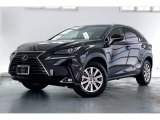 2019 Lexus NX Caviar