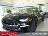 2019 Shadow Black Ford Mustang GT Fastback #142382018