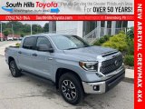 Cement Toyota Tundra in 2021