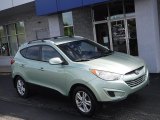 2011 Kiwi Green Hyundai Tucson GLS AWD #142448317