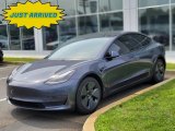 2021 Tesla Model 3 Midnight Silver Metallic