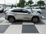 Atomic Silver Lexus NX in 2021