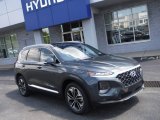 Rainforest Hyundai Santa Fe in 2019