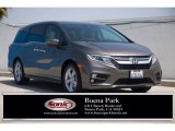 2020 Pacific Pewter Metallic Honda Odyssey EX-L #142546013