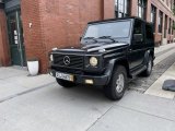 1990 Mercedes-Benz G 230 Exterior