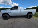 2010 Dodge Ram 2500 ST Regular Cab 4x4 Exterior