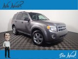 2012 Sterling Gray Metallic Ford Escape XLT 4WD #142610246