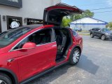 2020 Tesla Model X Performance Door Panel