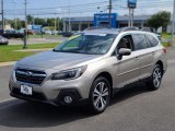 2019 Tungsten Metallic Subaru Outback 2.5i Limited #142635966