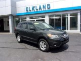 2012 Black Forest Green Hyundai Santa Fe GLS #142662493