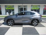 2019 Lexus NX 300 AWD