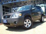 2006 Dark Shadow Grey Metallic Ford Escape XLT V6 #14211843