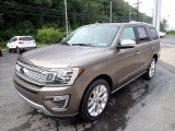 2018 Ford Expedition Platinum 4x4 Front 3/4 View